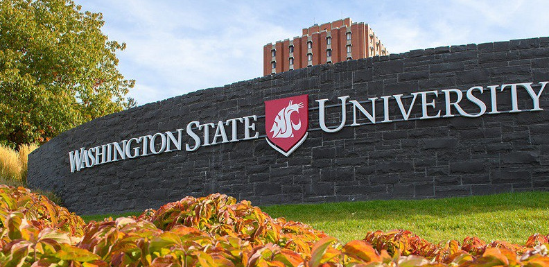 Washington State University – Một trong những ngôi trường tiêu biểu của Bang Washington